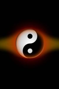 ying Yang